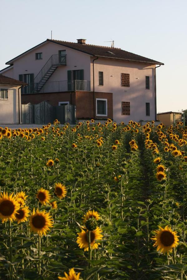 La Collina Del Girasole Vila Montecastrilli Exterior foto